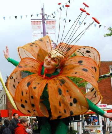 Helter Skelter Fantasy theme Flower Ranger