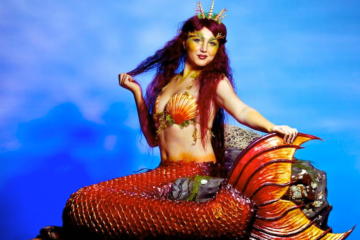 Helter Skelter Fantasy theme mermaid costume
